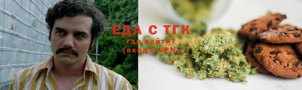 дмт Рославль