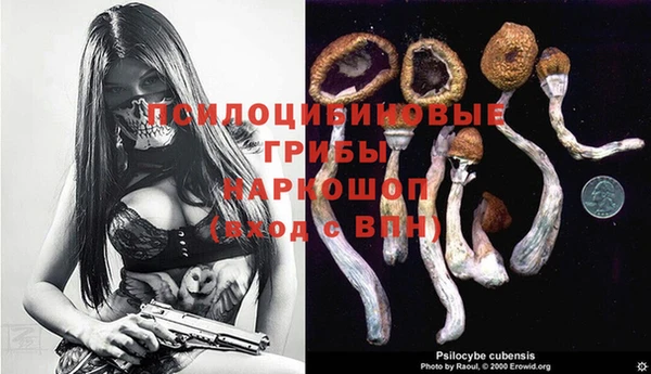 ГАЛЛЮЦИНОГЕННЫЕ ГРИБЫ Володарск