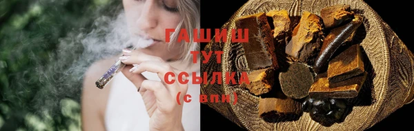 сатива Ростов